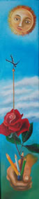 COME RAGGIUNGERE L'MPOSSIBILE 10X35